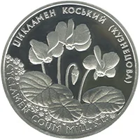 Цикламен коський (Кузнецова)