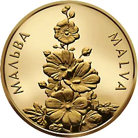 Мальва