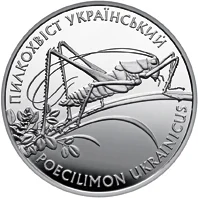 Пилкохвіст український