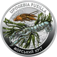 Морський кріт